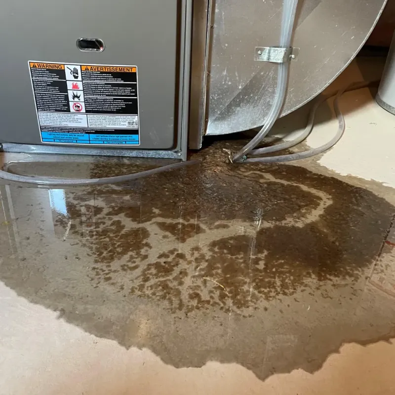 Appliance Leak Cleanup in Blackford County, IN