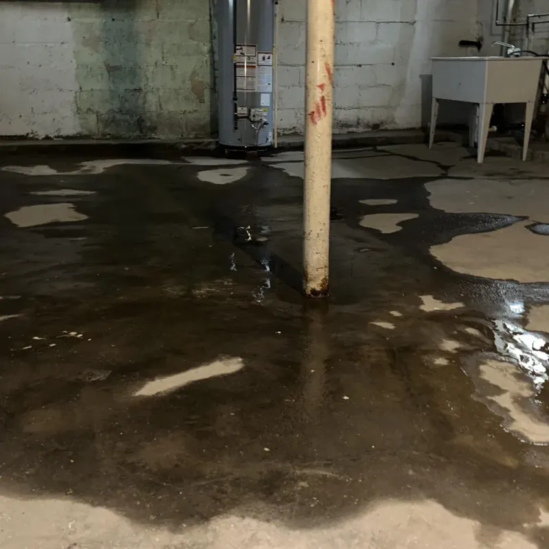 Emergency Water Extraction And Removal in Blackford County, IN